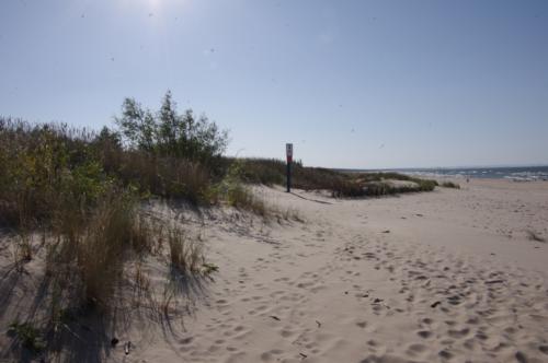 domki letniskowe Wyspa Sobieszewska, domki letniskowe Sobieszewo, domki letniskowe Świbno, wakacje na wyspie