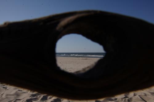 domki letniskowe Wyspa Sobieszewska, domki letniskowe Sobieszewo, domki letniskowe Świbno, wakacje na wyspie