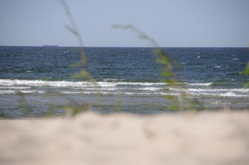 domki letniskowe Wyspa Sobieszewska, domki letniskowe Sobieszewo, domki letniskowe Świbno, wakacje na wyspie