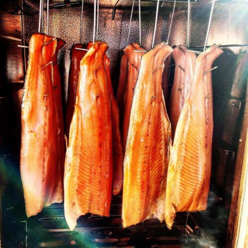 domki letniskowe gdańsk, wakacje na wyspie, domki letniskowe wyspa sobieszewska, domki wyspa sobieszewska