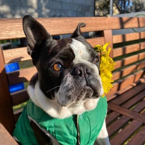 IMG_20220511_155954_680kopia