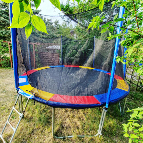 domki letniskowe gdańsk, wakacje na wyspie, domki letniskowe wyspa sobieszewska, domki wyspa sobieszewska6_641