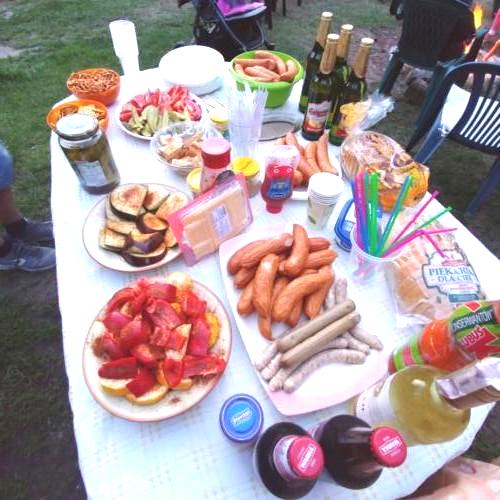 domki letniskowe gdańsk, wakacje na wyspie, domki letniskowe wyspa sobieszewska, domki wyspa sobieszewska