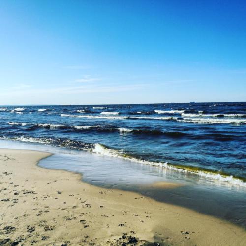 domki letniskowe Wyspa Sobieszewska, domki letniskowe Sobieszewo, domki letniskowe Świbno, wakacje na wyspie