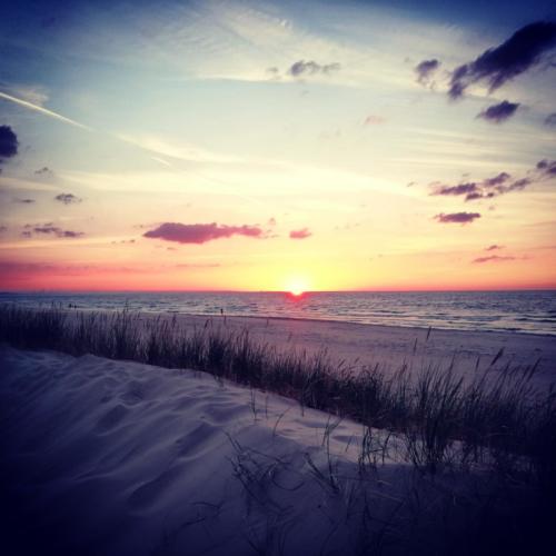 domki letniskowe Wyspa Sobieszewska, domki letniskowe Sobieszewo, domki letniskowe Świbno, wakacje na wyspie