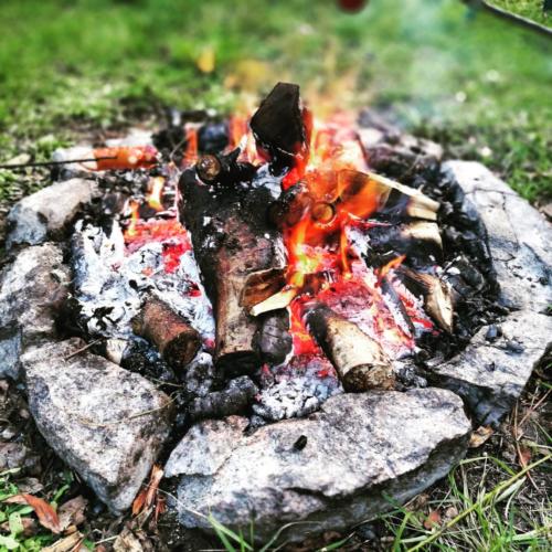 domki letniskowe gdańsk, wakacje na wyspie, domki letniskowe wyspa sobieszewska, domki wyspa sobieszewska