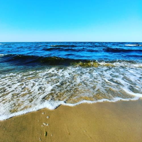 domki letniskowe Wyspa Sobieszewska, domki letniskowe Sobieszewo, domki letniskowe Świbno, wakacje na wyspie