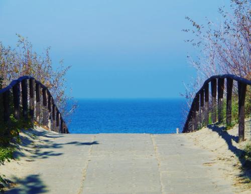 domki letniskowe Wyspa Sobieszewska, domki letniskowe Sobieszewo, domki letniskowe Świbno, wakacje na wyspie